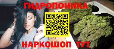 Альфа ПВП Тула