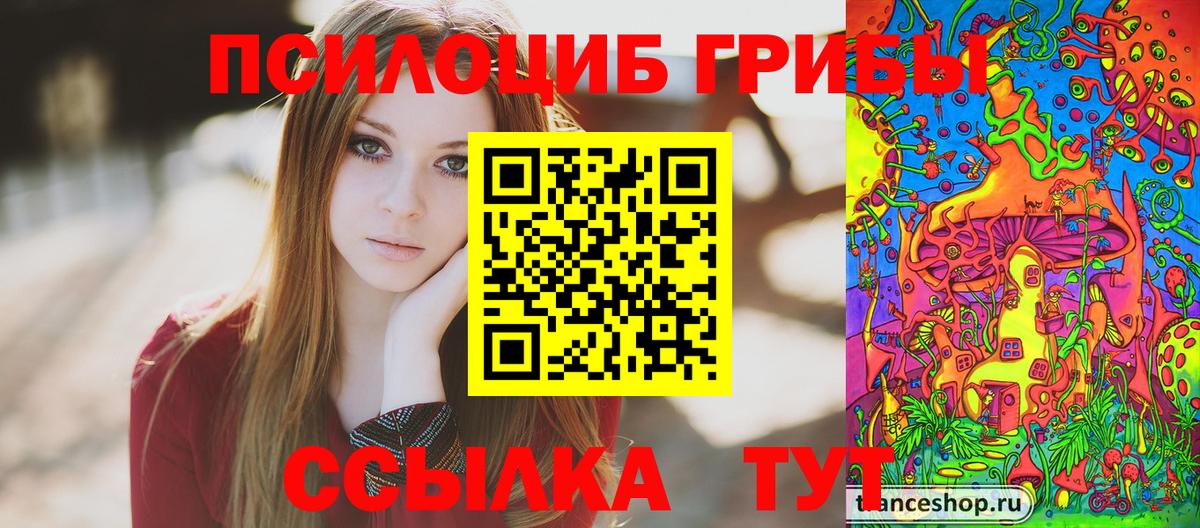 Галлюциногенные грибы мухоморы  Вход с VPN  купить наркотик  Мыски 